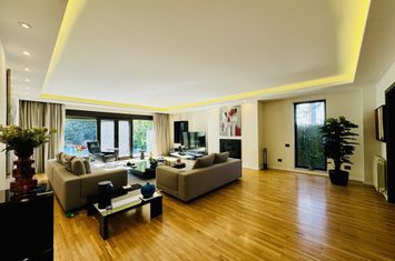 Villa with swimming pool, generous yard, Iancu Nicolae, British School anunturi imobiliare Bucuresti