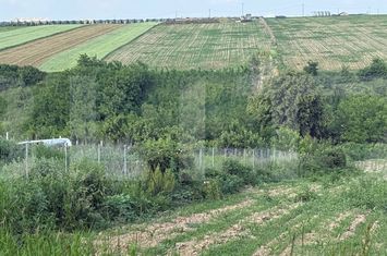 Teren de vanzare BOTOSANI - Botosani anunturi imobiliare Botosani