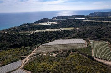 Teren 7.250 mp în Paralia Elaiochoriou anunturi imobiliare Grecia