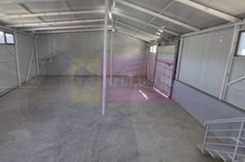 Hală producție sau depozit de vânzare sau închiriere anunturi imobiliare Prahova