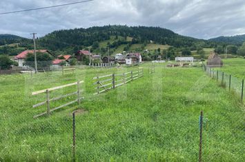 Teren de vanzare VAMA - Suceava anunturi imobiliare Suceava