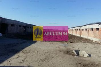 Teren Balotesti- Saftica anunturi imobiliare Bucuresti