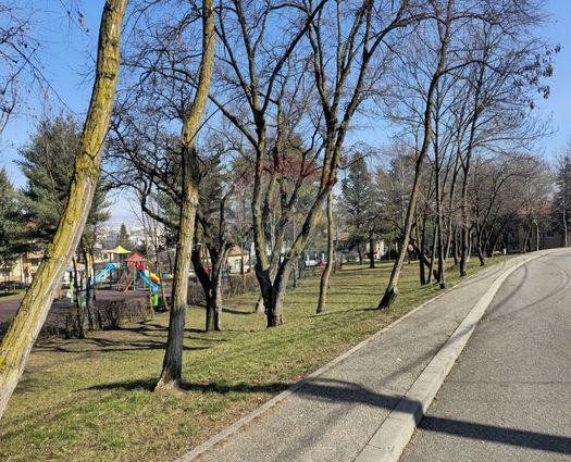 Teren Intravilan Andrei Muresanu, 571 mp