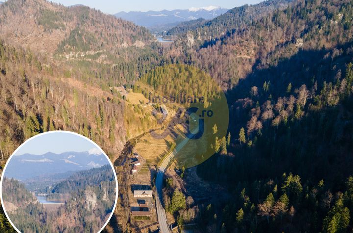 Teren de vanzare COLIBITA - Bistrita-Nasaud anunturi imobiliare Bistrita-Nasaud