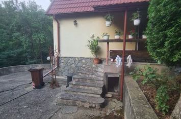 Casă de vacanță de vânzare în Cornu - Zona Cornu de Sus anunturi imobiliare Prahova