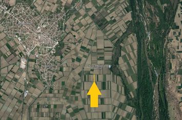 Teren agricol 5520 mp în Drymousa, Chrysoupolis anunturi imobiliare Grecia