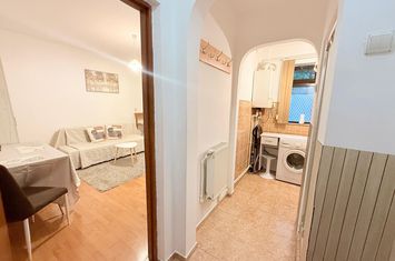 DE INCHIRIAT, APARTAMENT CU O CAMERA, COPOU, UNIVERSITATEA CUZA anunturi imobiliare Iasi