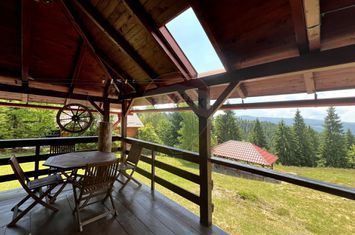 Casă de vacanță, de vânzare, pretabilă locuință sau afacere hotelieră anunturi imobiliare Cluj