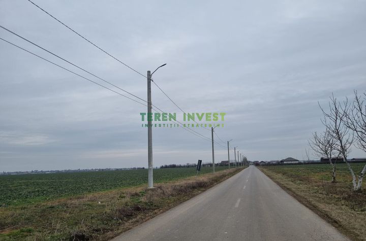 VANZARE TEREN INTRAVILAN 7.500 MP - CERNICA anunturi imobiliare Bucuresti