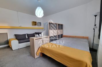 Apartament cu 1 camera, ultracentral, Piata Marasti anunturi imobiliare Timis