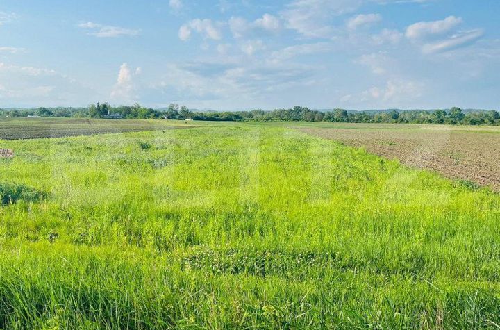Teren de vanzare TARGOVISTE - Dambovita anunturi imobiliare Dambovita