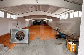 Spațiu industrial de inchiriat DEJ - Cluj anunturi imobiliare Cluj