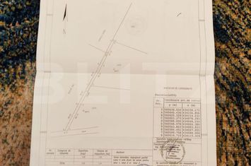 Teren de vanzare VALEA DOFTANEI - Prahova anunturi imobiliare Prahova