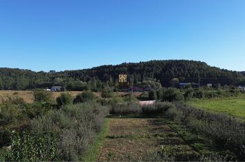 Teren Intravilan de vanzare SCHEIA - Suceava anunturi imobiliare Suceava