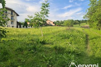Teren Intravilan de vanzare MUSCEL - Prahova anunturi imobiliare Prahova