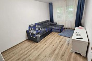 Apartament de inchiriat cu 2 camere- Zona Centrala Palas Mall anunturi imobiliare Iasi