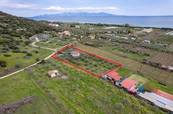 Teren agricol 1.500 mp cu casă 55 mp în Nea Peramos anunturi imobiliare Grecia