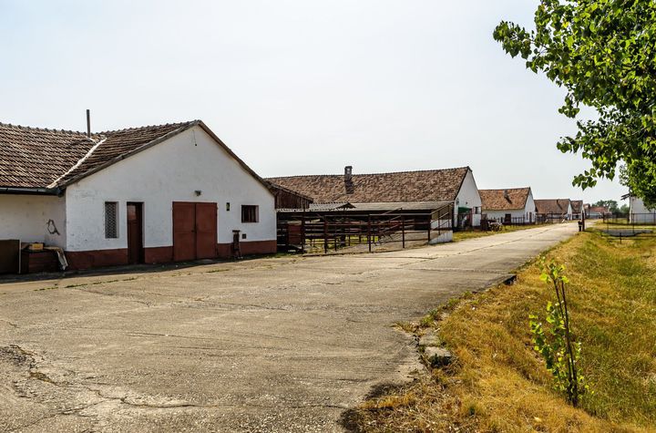 Fermă Mândruloc 25.000 mp anunturi imobiliare Arad