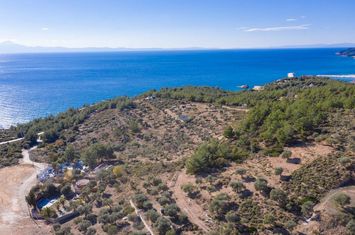 Teren construibil 7411 mp în Limenaria, Thassos anunturi imobiliare Grecia