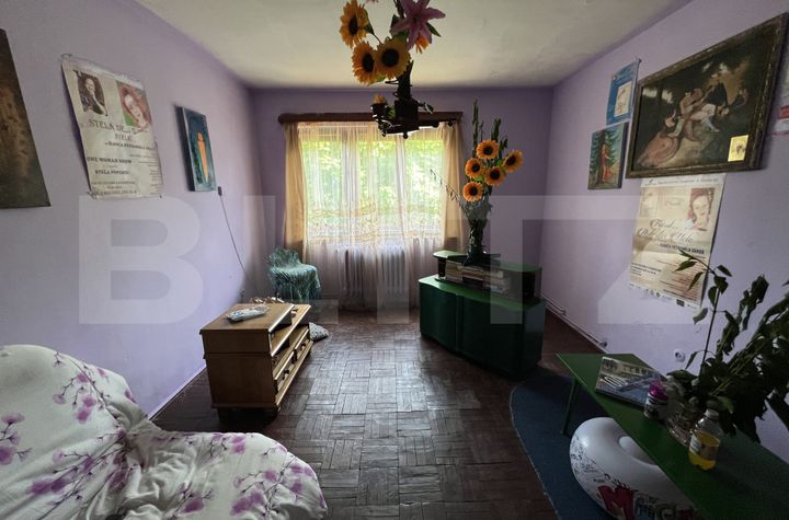 Apartament 2 camere de vanzare CETATE - Alba anunturi imobiliare Alba