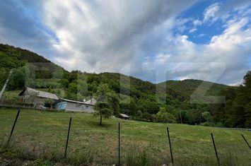 Casă - 4 camere de vanzare INTREGALDE - Alba anunturi imobiliare Alba