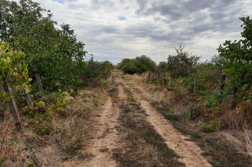 TEREN INTRAVILAN - 497MP - STRADA SOLSTITIULUI anunturi imobiliare Bucuresti