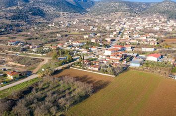 Teren construibil 4.394 mp în Philippi, Kavala anunturi imobiliare Grecia