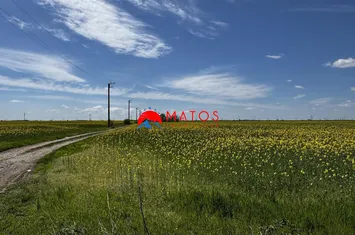 Teren Intravilan de vanzare BAICOI - Prahova anunturi imobiliare Prahova