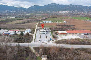 Spațiu industrial-comercial 1.200 mp, teren 4.150 mp anunturi imobiliare Grecia