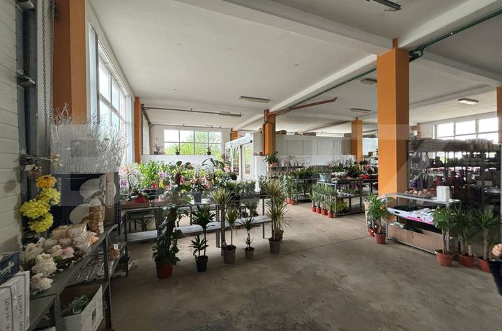 Spațiu comercial de vanzare ZALAU - Salaj anunturi imobiliare Salaj