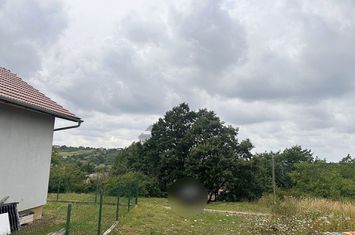 Teren intravilan de vanzare cu o crama zona Dealuri Oradea anunturi imobiliare Bihor