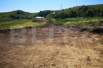 Teren de vanzare CHINTENI - Cluj anunturi imobiliare Cluj