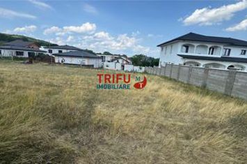 Teren Intravilan de vanzare CETATE - Alba anunturi imobiliare Alba