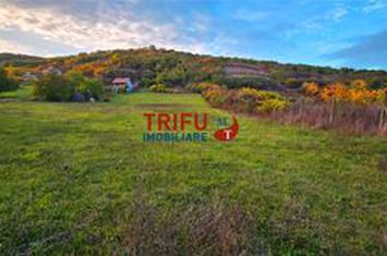 Teren Intravilan de vanzare CETATE - Alba anunturi imobiliare Alba
