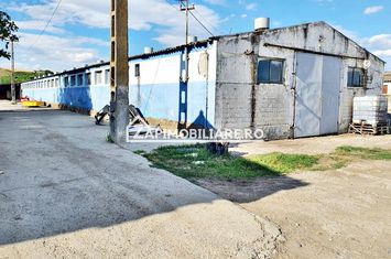 Spațiu industrial de inchiriat NAZNA - Mures anunturi imobiliare Mures