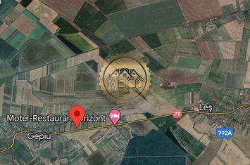 Teren Extravilan de vanzare GEPIU - Bihor anunturi imobiliare Bihor