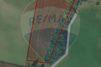 Teren de vanzare extravilan 17.882 mp/ Agnita anunturi imobiliare Sibiu