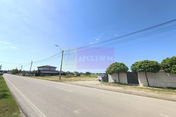 Teren pentru 2-3 case lângă București - Localitatea 1 Decembrie Ilfov anunturi imobiliare Bucuresti