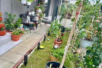Apartament 2 camere de vanzare BRAYTIM - Timis anunturi imobiliare Timis