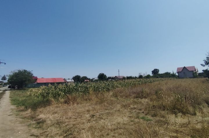 Teren de vanzare UNGURENI (FILIPESTII DE TARG) - Prahova anunturi imobiliare Prahova