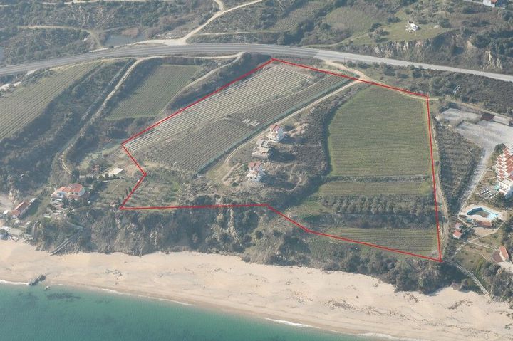 Teren construibil 35.000 mp, Paralia Elaiochoriou anunturi imobiliare Grecia