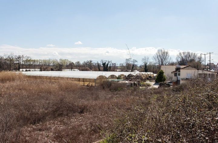 Teren construibil 10.470 mp la intrarea în Drama anunturi imobiliare Grecia