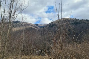 Teren de vânzare în Sinaia anunturi imobiliare Prahova
