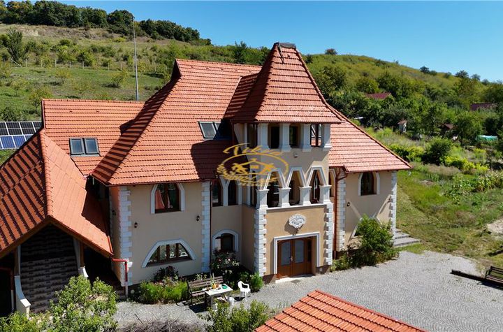 Casă - 8 camere de vanzare CORUNCA - Mures anunturi imobiliare Mures