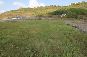 Teren 780mp, PUG aprobat, Livezeni,60 euro mp anunturi imobiliare Mures