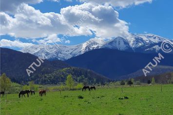 Teren Intravilan de vanzare AVRIG - Sibiu anunturi imobiliare Sibiu