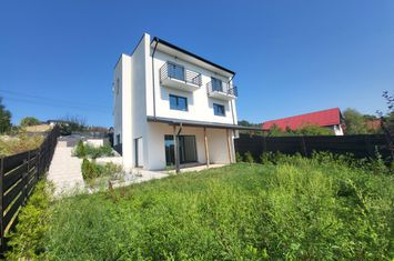 Vilă - 4 camere de vanzare HLINCEA - Iasi anunturi imobiliare Iasi