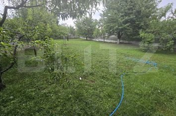 Vilă - 9 camere de vanzare CETATE - Alba anunturi imobiliare Alba