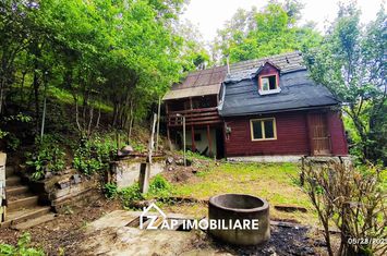 Teren Platou - 1613 mp - cu căbănuță intabulată– vedere panoramica anunturi imobiliare Mures