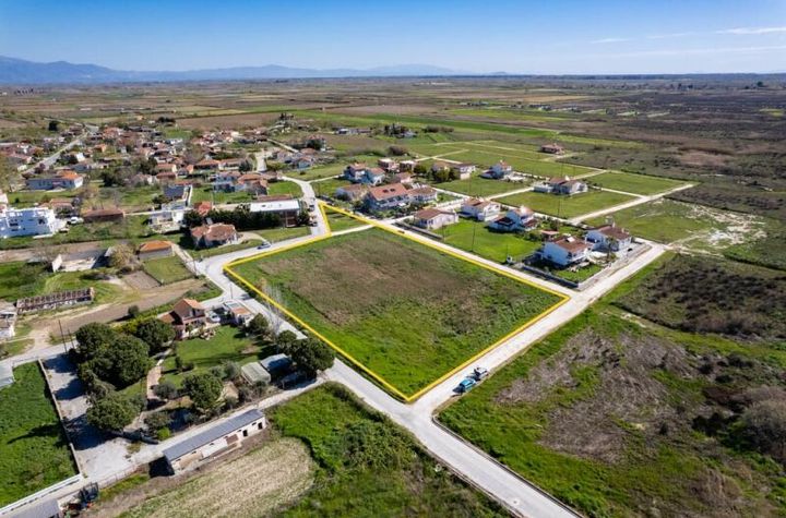Teren construibil 6888 mp în Chaidefto anunturi imobiliare Grecia